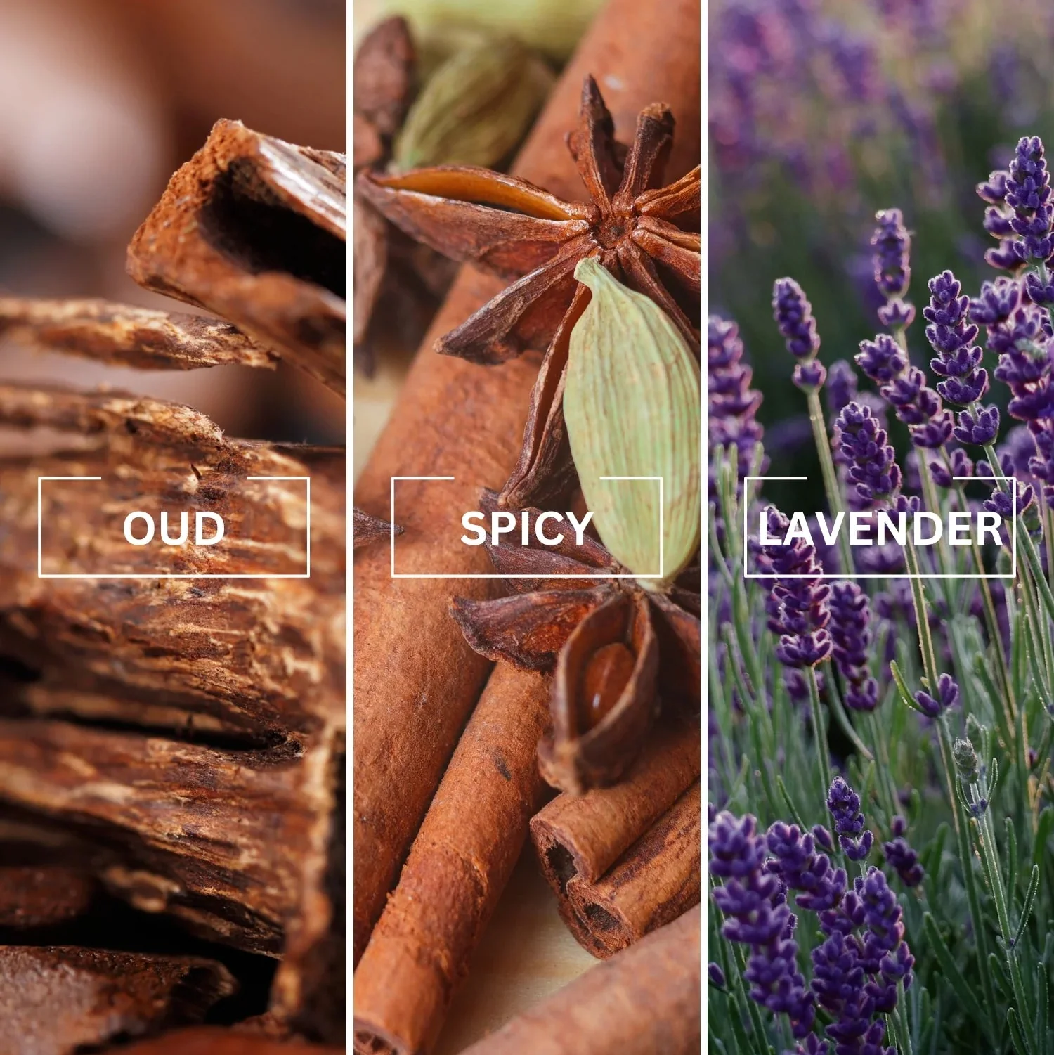NOIR Great Oud Luxury Air Freshener - Image 2
